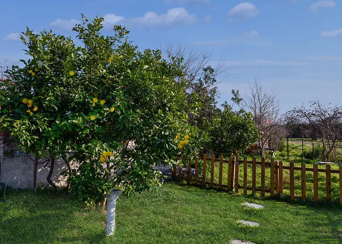 アパート Owl's Nest