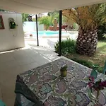 Owl's Nest וולוס