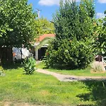 Owl's Nest וולוס