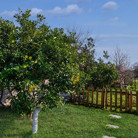 아파트 Owl's Nest