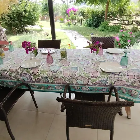 Lejlighed Owl's Nest Volos