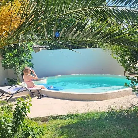 Owl's Nest 볼로스