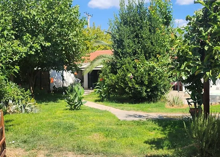 Owl's Nest Βόλος